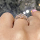 SOLITAIRE TRILOGY